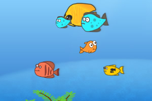 ���ȳ�С��