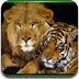 老虎和狮子