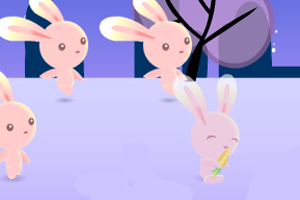 �����ñ���