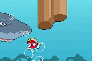 �����С��