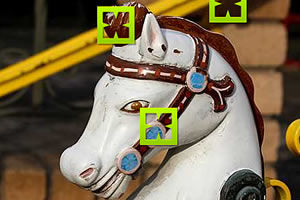 �����Ҳ�ͬ