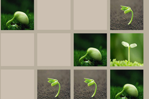 ֲ�������