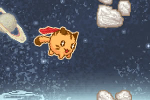 ����ĳ���è