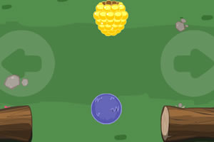 ������С����