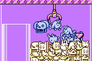 ���ץ����