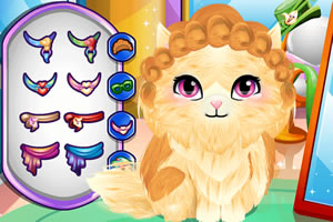 �չ�����è