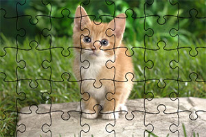 �ɰ���Сèƴͼ