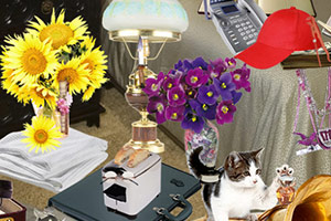 ����èС��