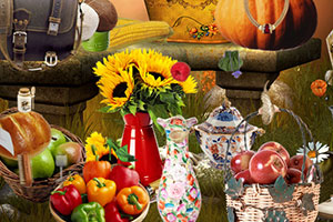 ������ĵ�һ��