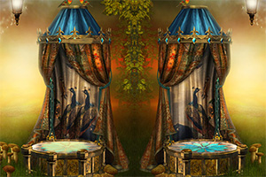 ��������Ҳ�ͬ