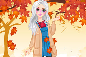 �űȵ�������װ