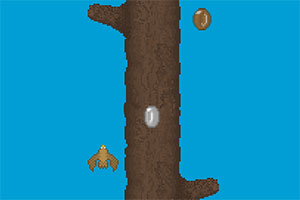 ����ֹ����