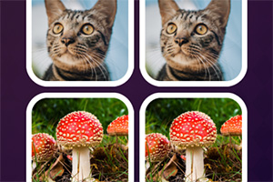 ���ƴ���