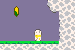 ����С��