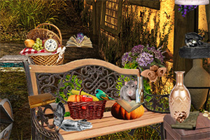 ���ܵ���ʿ