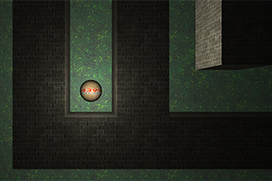 �����Գ�