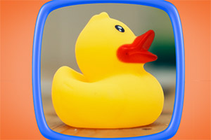 ������Ƭ