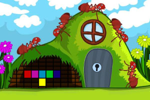 ���붯�����