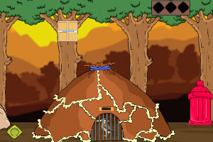 ��ӥ�����