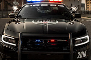 ����ƴƴ��