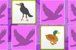 ������俨