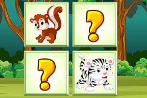 �ɰ�������俨��