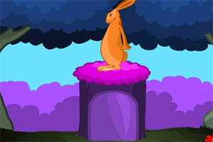 ����֮��