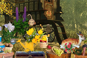 ���ص�ð��