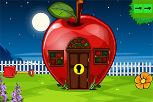 �ۺ�������