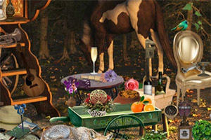 ħ��������