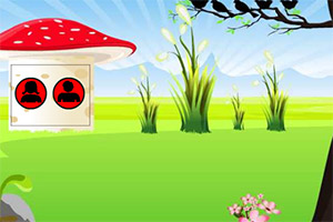 �ӳ��ۻ�ɫС��