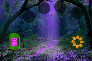 ��������������ɭ��