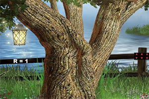 ����ĺ��֮��