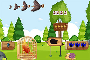 ��ɫ��β���ľ�Ԯ