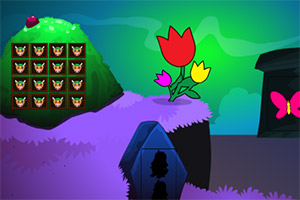 ��Ԯ��ɫ��