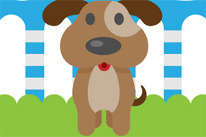 ��Ƥ�Ĺ���