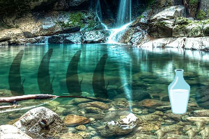 ����ɭ������