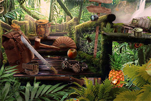 ��������ʯ��