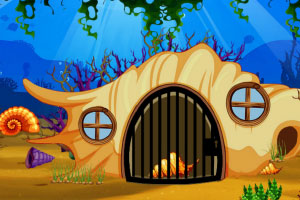 ˮ����������