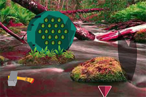 ����͸���ɭ��