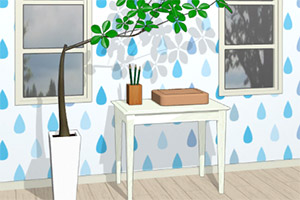 �����꼾��