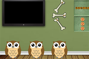 ��������櫵ļ�