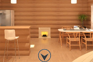 ����������ľ��