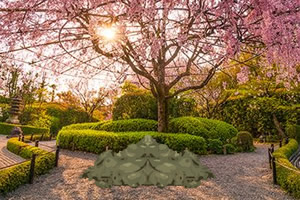 ������ʽ��԰