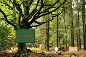 ɭ���ݴ�����