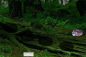 �ӳ�����ɭ��