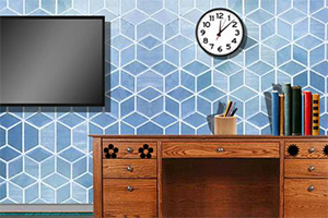 ���뻨���ӵķ���