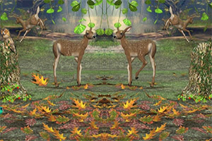 ��Ұ�Ĺ���