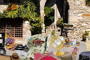 ������Ա