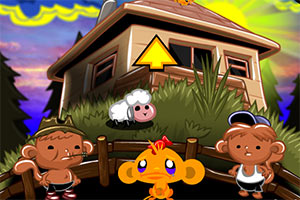 ��С�￪��ϵ��704